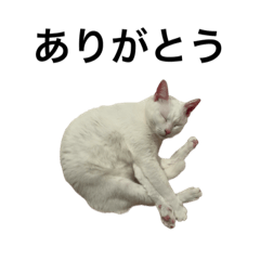 nao_20231117213013