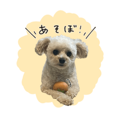 yuka_20231117194907