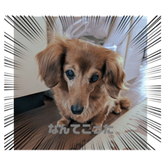 suzu_20231118091015
