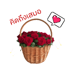 Flowers basket: ด้วยรักและปรารถนาดี