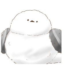 Sakura_20231118111314