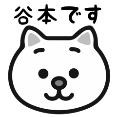 Tanimoto cat stickers