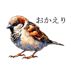 Realistic Bird Stickers