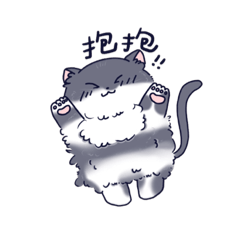 Nian Nian cat ♡