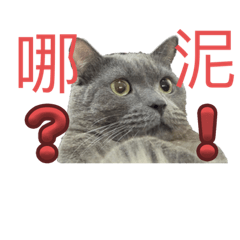 臭屁屁不要再機車了-修正版