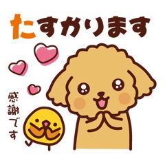 Toy poodle healing sticker.