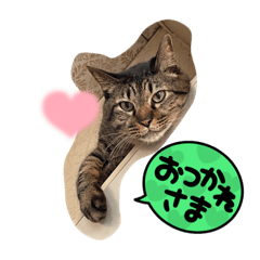 nao_20231118172947