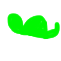 Melon_20231118175949