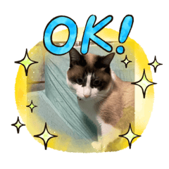 hironishi_20231118181108