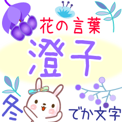 澄子の毎日使う花の言葉◆冬●でか文字