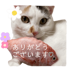 michiko_20231118195330