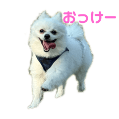 NAO_20231118201618