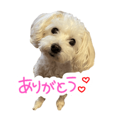 lun_20231118212824