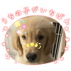 yayoi_20231118202611