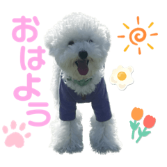 yuka_20231119013118