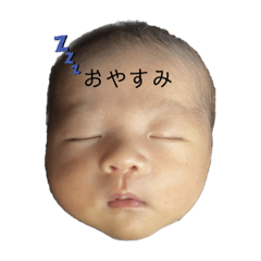 YUKA_20231119105729