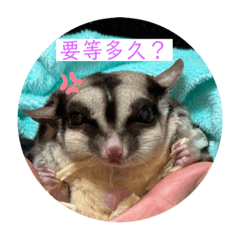 Cute niki_20231119153251 – LINE stickers | LINE STORE