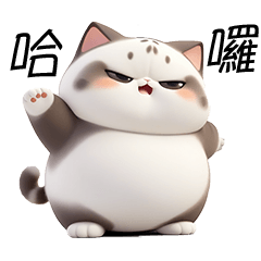 Fat Cat Series Daily Dialogue