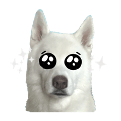 omochi_20231119222821