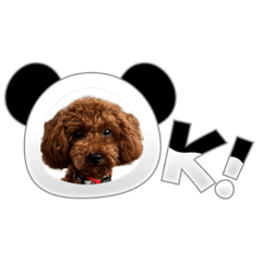 Charlie Brown poodle stickers
