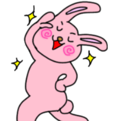 humor bandana rabbit