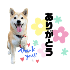 ontan_20231119213044