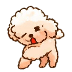 Healing Cute Toy Poodle