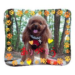 manmarumama_20231119214438