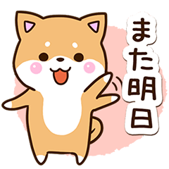 Sticker of cute Shibainu7