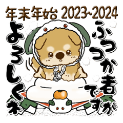 Shiba-inu (New year)correction