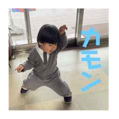 tanakeru_20231119175106