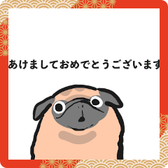 Happy pug 2024