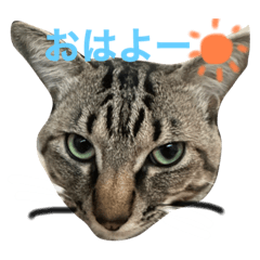 YUKA_20231119225756