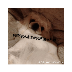 omochi_20231119173656