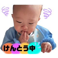 Peco_20231120130752