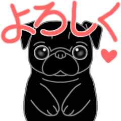 yadorihoya Black Pug moving Sticker 2