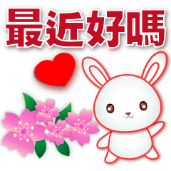Cute white rabbit-happy-practical