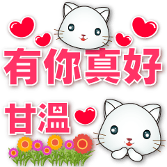 Cute white cat- space saving stickers