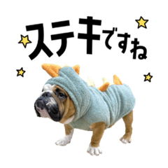 eRINa*_20231120162744