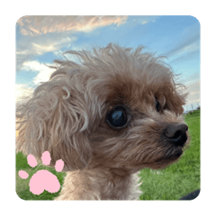 YUKA_20231121000459