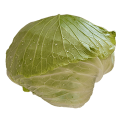 Food Series : Some Cabbage #4