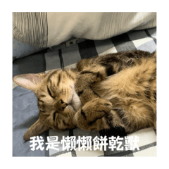 Mako醬