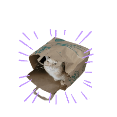Bagel the Cat 2v2