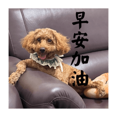 我是阿滴