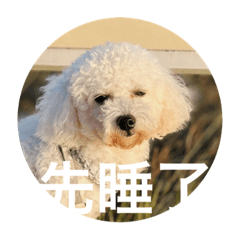 幹嘛與喵喵日常