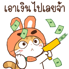 สอยดาว รุ่น 3 (แมวนิยม)