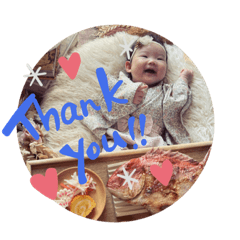 sakura_20231121160852