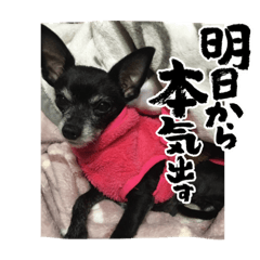 peeen_20231121190629