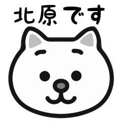 Kitahara cat stickers