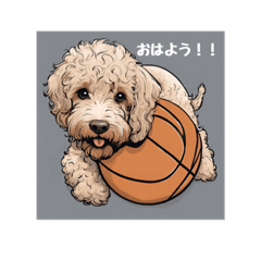 shintako_0818